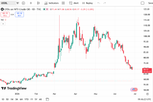 Read more about the article Why Petrol and Diesel Prices Could Fall Next Month as Crude Oil Drops Below $70